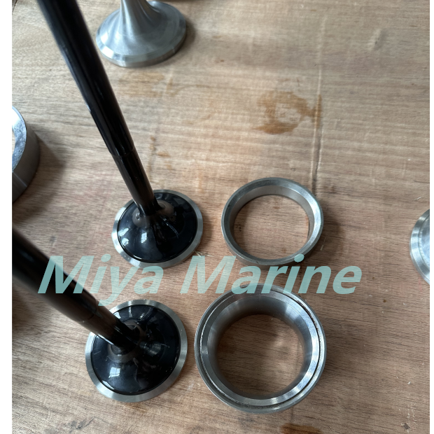 MAK M20 Inlet&Exh valve seat